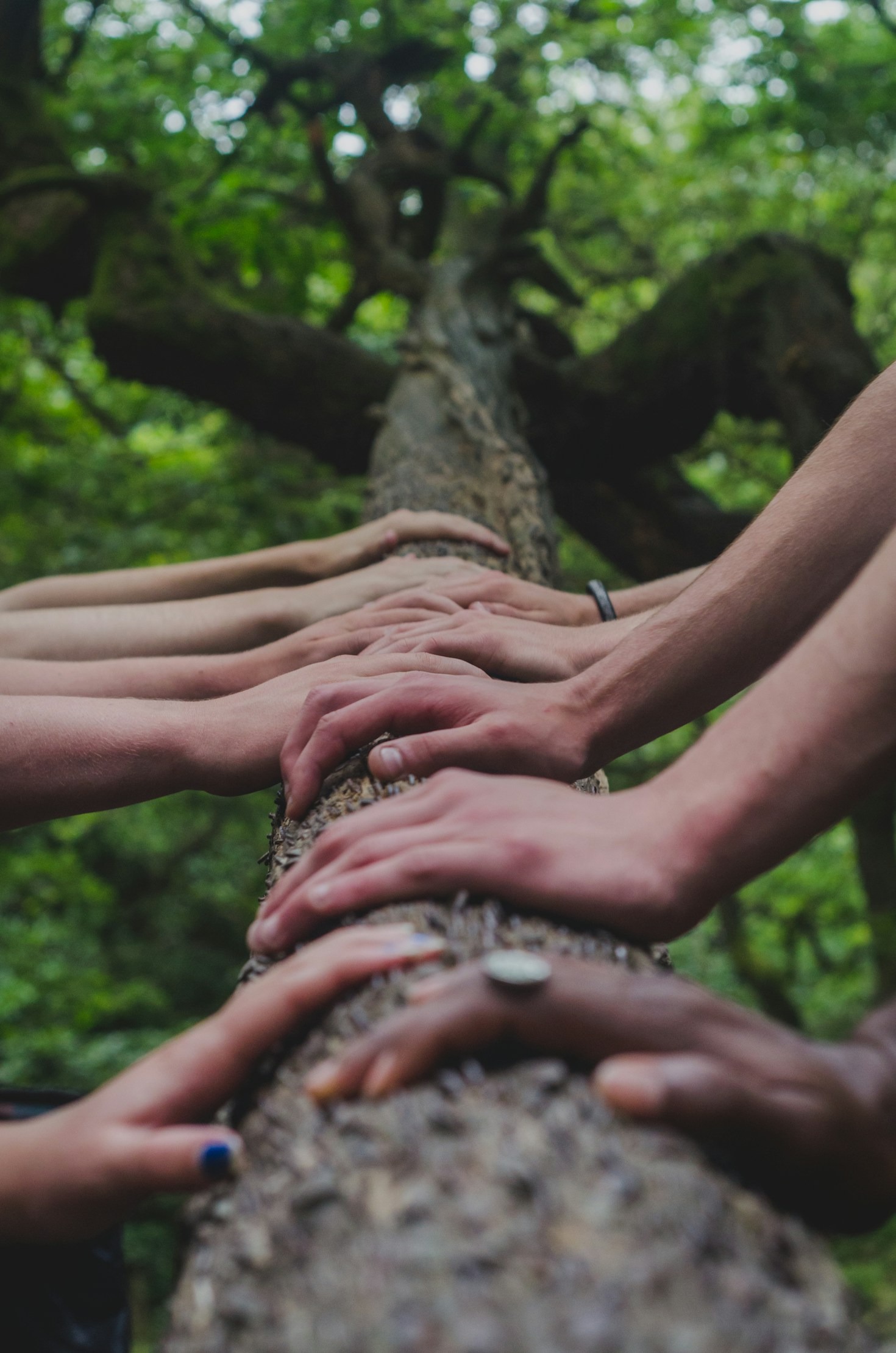 Unlocking Opportunities Through Networking